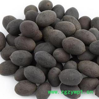 石莲子 新货 国药堂 专注品质 产地 湖南省图2