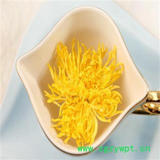 煜庭药业 菊花 黄菊 皇菊图3