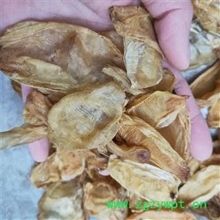 鱼鳔 本店新到鱼鳔好统货纯净货干净无杂质 产地 海南省图3