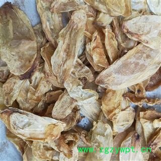 鱼鳔 本店新到鱼鳔好统货纯净货干净无杂质 产地 海南省图4