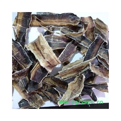 地龙 广地龙半开片 产地 广西壮族自治区