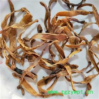 地龙 新到小地龙次全开货 产地 江苏省图4