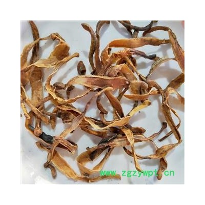 地龙 新到小地龙次全开货 产地 江苏省