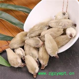 【一件包邮】【全场包邮】同信堂中药销售 辛夷花1000克 女郎花 紫玉兰产地大货 支持药检图4