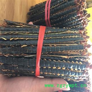 煜庭药业 蜈蚣 天龙 百脚 中条图4