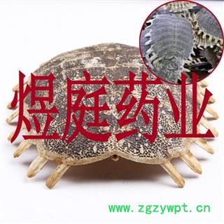 煜庭药业 鳖甲图2