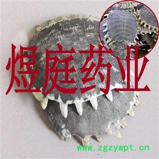 煜庭药业 鳖甲图3