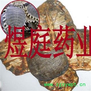 煜庭药业 鳖甲图4