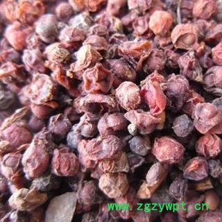 南五味子 2020统 产地 陕西省汉中市宁强县图3