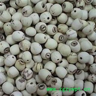 去皮 白莲米 选 抽芯 产地 湖南省湘潭市岳塘区图3