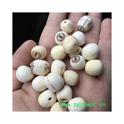 去皮 白莲米 选 抽芯 产地 湖南省湘潭市岳塘区