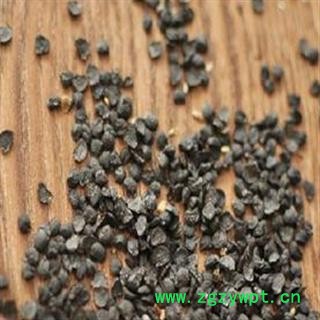 正品 韭菜子 2021选 产地 山东省烟台市莱阳市图2