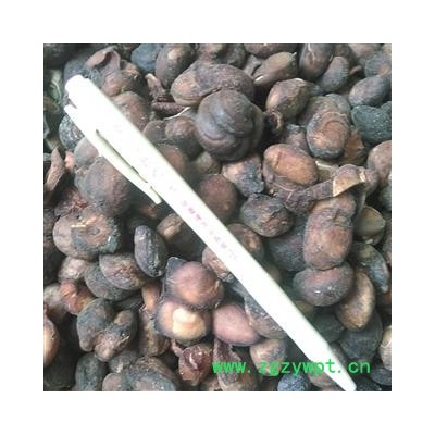 马槟榔 马金囊、水槟榔、紫槟榔 统货 产地 云南省红河哈尼族彝族自治州屏边苗族自治县