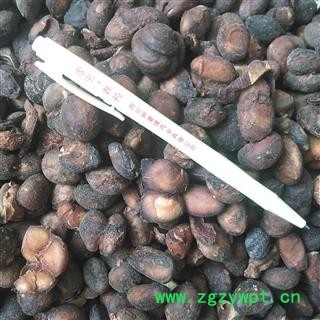 马槟榔 马金囊、水槟榔、紫槟榔 统货 产地 云南省红河哈尼族彝族自治州屏边苗族自治县图2