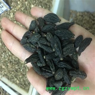 西青果 青果2021 统货 产地 广西壮族自治区玉林市兴业县图2