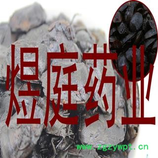 煜庭药业 九香虫 臭大姐 瓜黑蝽 臭板虫图4