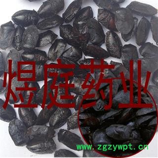 煜庭药业 九香虫 臭大姐 瓜黑蝽 臭板虫图2