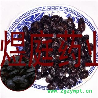 煜庭药业 九香虫 臭大姐 瓜黑蝽 臭板虫图3