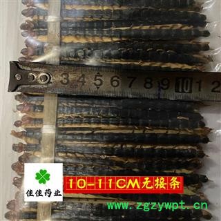 正品选装蜈蚣 不带接条 品质保证 蜈蚣小条选货9-12cm 产地 湖北省 个头匀 促销10000条 9-12CM，图4