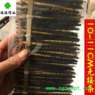 正品选装蜈蚣 不带接条 品质保证 蜈蚣小条选货9-12cm 产地 湖北省 个头匀 促销10000条 9-12CM，图2