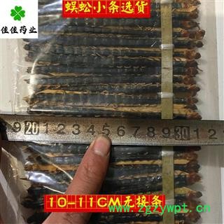 正品选装蜈蚣 不带接条 品质保证 蜈蚣小条选货9-12cm 产地 湖北省 个头匀 促销10000条 9-12CM，图3