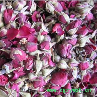 月季花 统 产地 亳州药市 库存 500图2