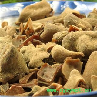 五倍子 统货 产地重庆市巫山县图3