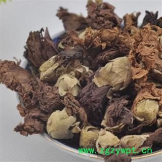 黄蜀葵花 统 产地 河南省安阳市市辖区图2