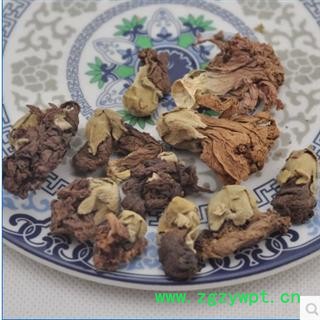 黄蜀葵花 统 产地 河南省安阳市市辖区图3