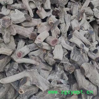 马鹿茸 鹿茸投料段符合2020版药典标准产地直供 产地 吉林省白山市抚松县图2