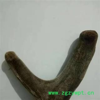 鹿茸 鹿茸二杠产地直供支持货到付款 产地 吉林省白山市抚松县图2