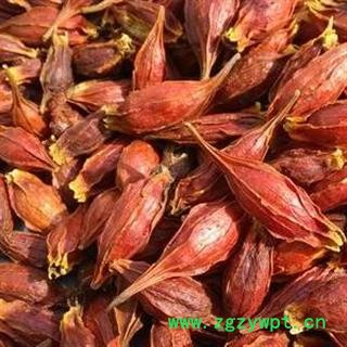 水栀子 正品保证质量7天无理由退货退款 安品堂图2