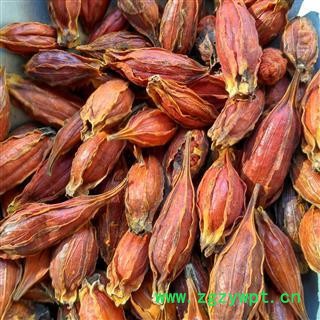 水栀子 正品保证质量7天无理由退货退款 安品堂图3