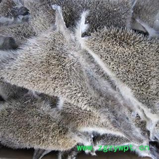 刺猬皮 统货 产地 山东省图2