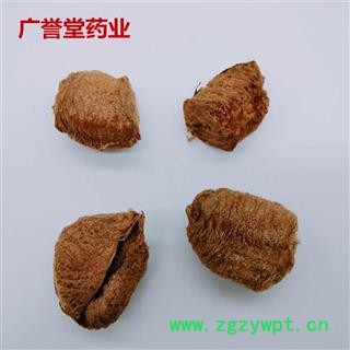 桑螵蛸 生桑螵蛸 规格 大统 批发各种规格名贵药材 产地山东图2