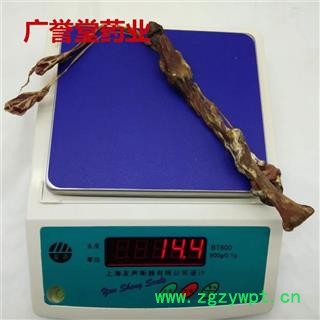 海狗鞭 中14克/条左右 海狗鞭 产地 吉林省 中药材批发 品种齐全图3