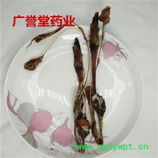 海狗鞭 中14克/条左右 海狗鞭 产地 吉林省 中药材批发 品种齐全图4