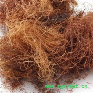 玉米须 玉米须统货 产地 河北省图2