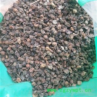 新辉药业中药材龙葵 龙葵果  野葡萄图3