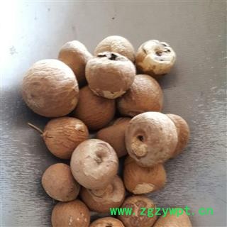 新辉药业优质香料槟榔 槟榔果 精选新货图2