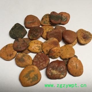 新辉药业优质木鳖子 木鳖子仁图3