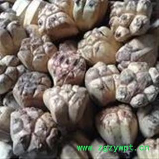 新辉药业中药材山菠萝 石莲花图3