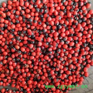 新辉药业红豆 相思豆 相思子 阴阳豆图2