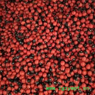 新辉药业红豆 相思豆 相思子 阴阳豆图3