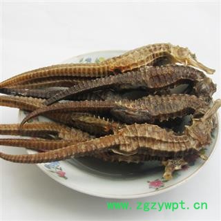 灵吉药业 海马   批发各种规格中药材 花茶 矿石 冷背珍稀药野生药材图2