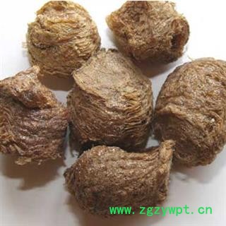 灵吉药业 桑螵蛸  蜱蛸、 桑蛸、冒焦、螵蛸、致神、螳螂子、桑上螳螂窠、野狐鼻涕、赖尿郎、刀螂子、老鸹芯脐、螳螂蛋、尿唧唧、流尿狗、猴儿包、螳螂壳   地道药材   货真价实图4