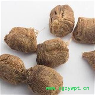 灵吉药业 桑螵蛸  蜱蛸、 桑蛸、冒焦、螵蛸、致神、螳螂子、桑上螳螂窠、野狐鼻涕、赖尿郎、刀螂子、老鸹芯脐、螳螂蛋、尿唧唧、流尿狗、猴儿包、螳螂壳   地道药材   货真价实图2