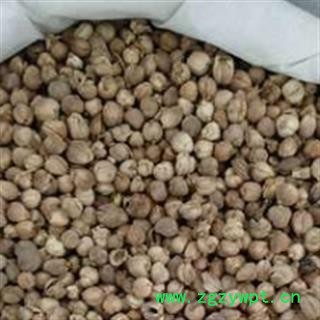 新辉药业中药材白豆蔻 豆蔻 肉蔻 优质调料图2