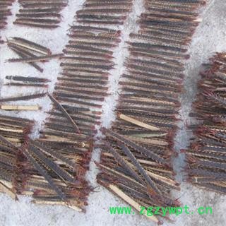 蜈蚣 大条 产地 广西壮族自治区南宁市上林县 库存 10000条可售图4