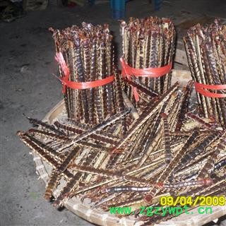 蜈蚣 大条 产地 广西壮族自治区南宁市上林县 库存 10000条可售图2